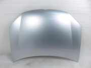 Motorhaube VW GOLF V (1K1) 1.9 TDI