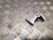 Türscharnier hinten links