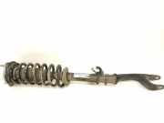 Stoßdämpfer vorne links MERCEDES-BENZ GLC (C253) 250 d 4-matic (253.309) A2533202766