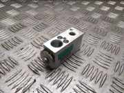 A/C Conditioner Expansion Valve RENAULT CLIO III (BR0/1, CR0/1) 1.5 dCi (BR17, CR17) 52304490 668878j