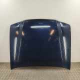 Motorhaube TOYOTA LAND CRUISER 100 (_J1_) 4.2 TD (HDJ100_) 53301-60320