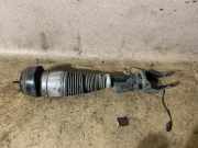 Stoßdämpfer links vorne Mercedes-Benz M-Klasse (W166) A1663201313