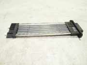 Elektrischer Schulterschulterkühler