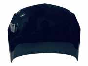 Motorhaube Opel Insignia A (G09) 20970122