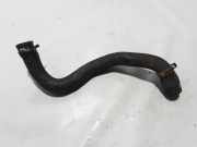Kühlerschlauch Renault Kangoo II - Grand Kangoo (KW0) 8200795019