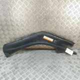 Anzeigetafel Rahmen TESLA MODEL X P100D AWD 1036239-00-F 1036238-00-F