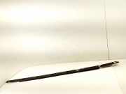 Abdeckung Seitenschweller aus Kunststoff rechts TOYOTA YARIS (_P13_) 1.4 D-4D (NLP130_) 75851-0D020