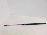 Heckklappe Gasdruckfeder rechts LEXUS IS II (GSE2_, ALE2_, USE2_) 200d