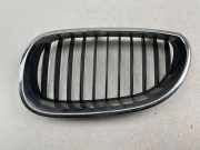 Kühlergrill komplett BMW 5er Touring (E61) 51137027065