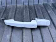 Türaußengriff vorne links