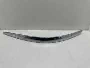 Front Bumper Center Moulding JAGUAR X-TYPE Estate (X400) 2.2 D 1X4317C753BA