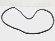 Türgummi links vorne Saab 900 II Cabriolet ()