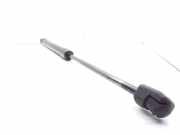 Heckklappe Gasdruckfeder links OPEL ASTRA G Hatchback (F48_, F08_) 1.7 DTI 16V 44638E+11