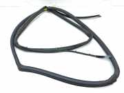 Türgummi links hinten Mercedes-Benz C-Klasse (W203) 2037370335