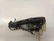 Türgriff links hinten BMW 7er (G11, G12) 7377241