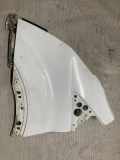 Kotflügel links vorne Ford Transit V363 Kasten (FCD, FDD)