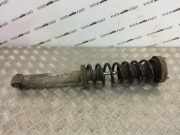Stoßdämpfer links hinten BMW 5er (E39) 1093646