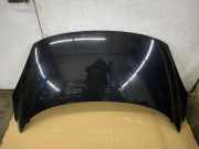 Motorhaube Renault Grand Scenic III (JZ)