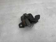 Motorhaubenschloss FIAT DUCATO Furgon (250_, 290_) 120 Multijet 2,3 D