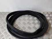 Dichtungsgummi der hinteren Tür (an der Karosserie) BMW 7 (E65, E66, E67) 730 Ld