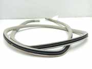 Türdichtung Jaguar XJ (NAW, NBW)