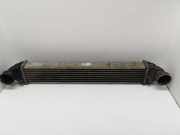 Ladeluftkühler Mercedes-Benz A-Klasse (W169) A1695000000