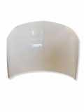 Motorhaube OPEL INSIGNIA A (G09) 1.6 CDTi (68)
