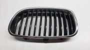 Kühlergrill links BMW 5er (F10) 7261355