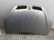 Motorhaube RENAULT SCÉNIC I (JA0/1_) 2.0 16V (JA1B, JA1D)