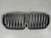 Kühlergrill oben BMW X5 (G05, F95) 7454887
