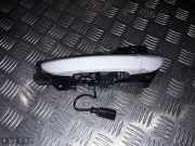 Türgriff links vorne VW Passat B6 CC (357) 3C8839885