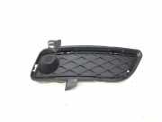 Gitter Grill vorne rechts BMW X3 (F25) xDrive 28 i 7249596