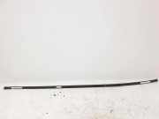 Dachleiste links NISSAN QASHQAI / QASHQAI +2 I (J10, JJ10) 1.6 dCi 4WD