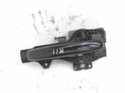 Türgriff links Audi Q7 (4L)