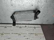 Ladeluftkühler FORD FIESTA VI 1.0 EcoBoost L1BG6D624AB