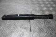 Gasfeder für Motorhaube BMW 7er (F01, F02, F03, F04) 5123728975301