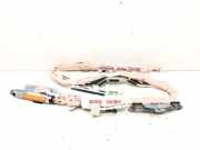 Airbag Dach rechts Subaru Outback IV (BR) WYN1N000233