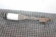 Stoßdämpfer hinten links MERCEDES-BENZ S (W220) S 500 (220.075, 220.175, 220.875) C086054O5