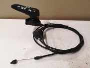 Griff Klappenzug Citroen C5 III (RD)