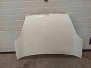 Motorhaube FIAT DOBLO MPV (263_) 1.6 D Multijet