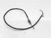 Abgastemperatursensor PEUGEOT 407 Coupe (6C_) 2.7 HDi 9639721980