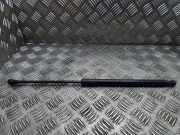 Heckklappe Gasdruckfeder rechts BMW 1 (F20) 116 d 7239871 8135620455n
