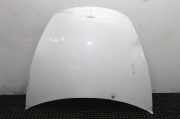 Motorhaube TESLA MODEL 3 EV