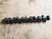 Nockenwelle VW TOUAREG (7LA, 7L6, 7L7) 2.5 R5 TDI 572951500951