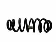 Fahrwerksfeder hinten rechts