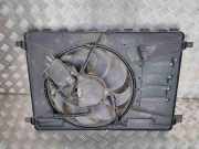 Kühlmodul Ford Mondeo IV (BA7) 8240563