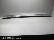 Dachreling links BMW X1 (E84) xDrive 20 i