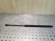 Heckklappe Gasdruckfeder links BMW 3 Cabrio (E46) 318 Ci 51248232873