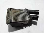 Ladeluftkühler Renault Megane Scenic (JA) 8200175069