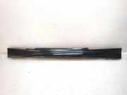 Linker Schweller BMW 1 Coupe (E82) 118 d 51778044663